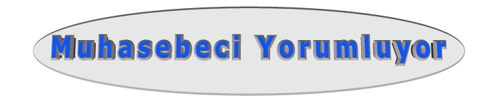Muhasebeci Yorumluyor